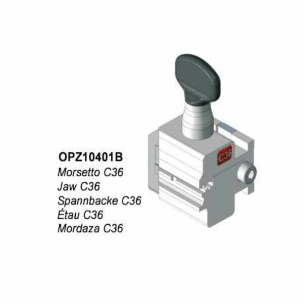 MORSETTO-C36-DOM-IX-GAMMA